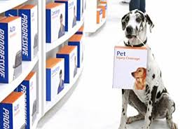 best pet insurance az