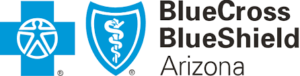 Blue Cross Blue Shield Arizona agent