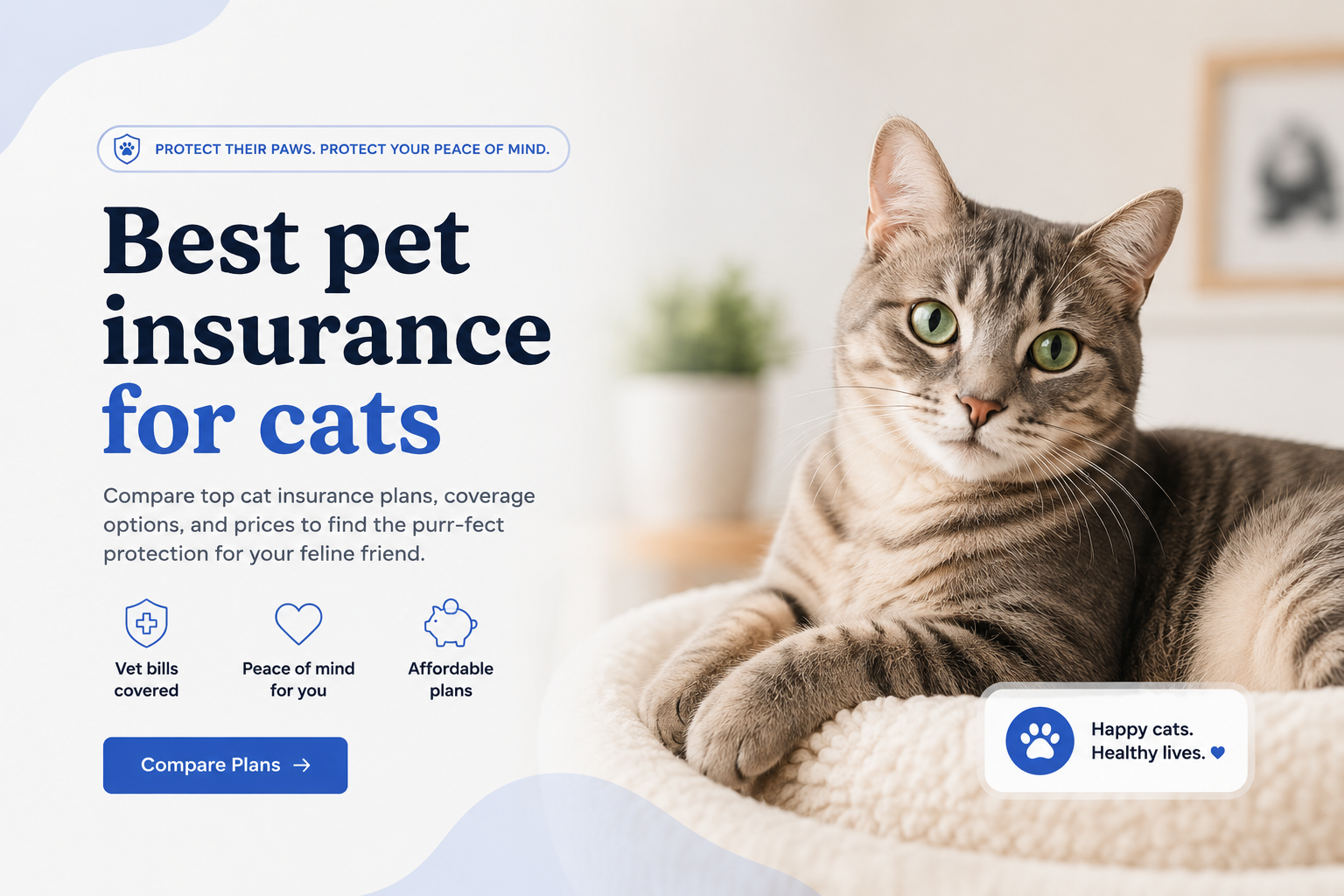 Best pet insurance for cats comparison for illness coverage, accident protection, dental benefits, urinary issues, wellness care, claims, and cat insurance quotes