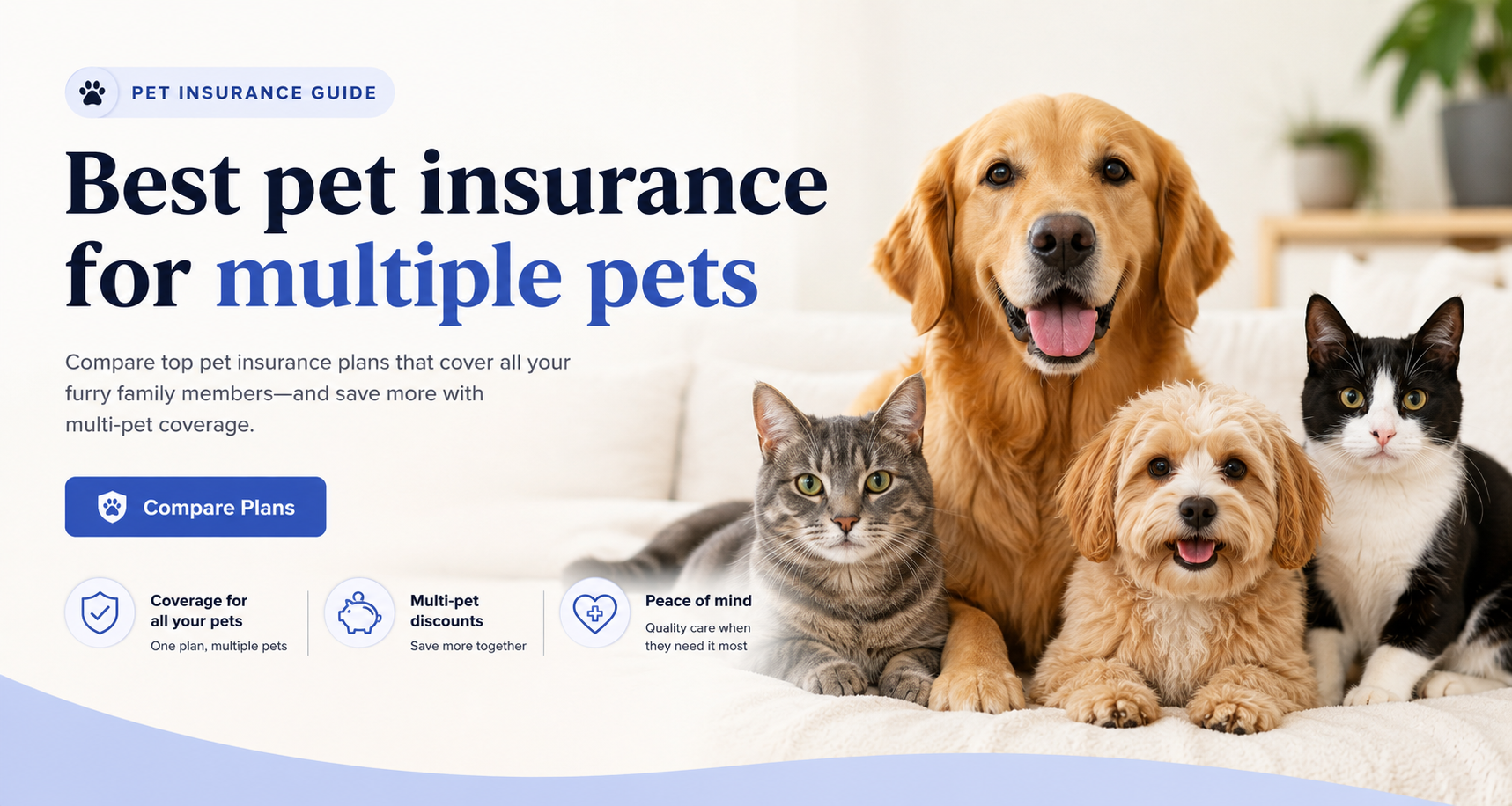 Best pet insurance for multiple pets comparison for multi-pet discounts, separate policies, shared deductibles, claims, costs, and quote options