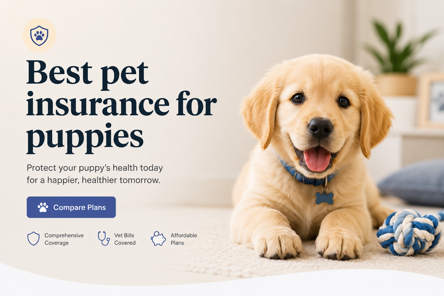 Best pet insurance for puppies comparison for accident coverage, illness protection, vaccines, wellness care, spay and neuter options, claims, and puppy insurance quotes