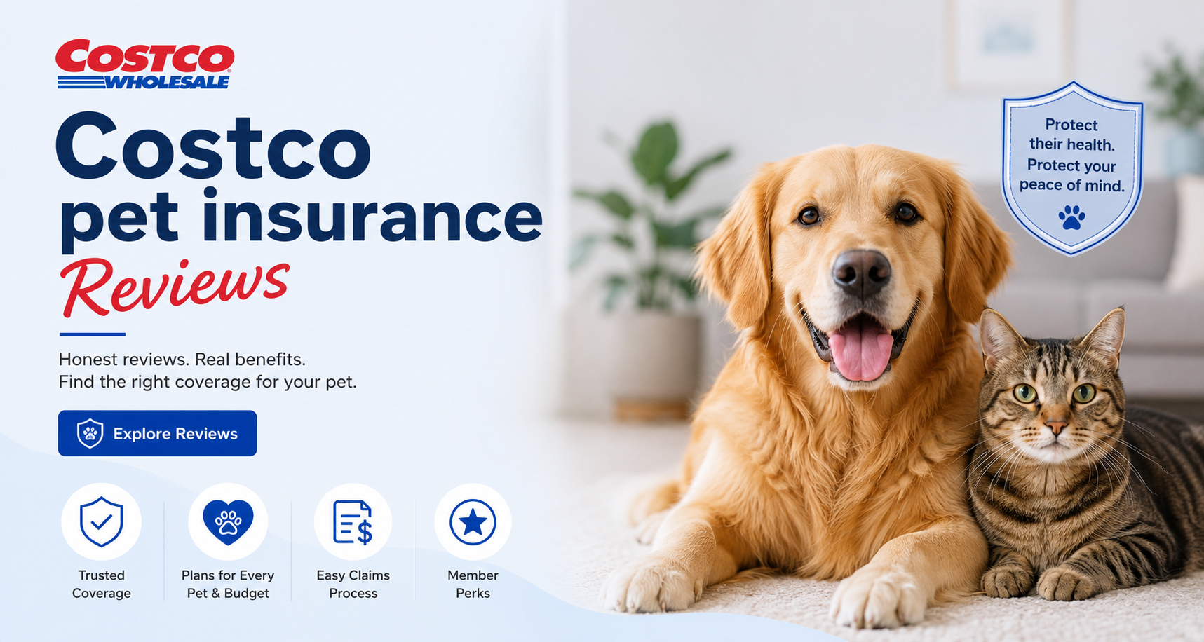 Costco pet insurance reviews comparison for Figo coverage, Costco member discounts, wellness options, claims, cost factors, and pet insurance quotes