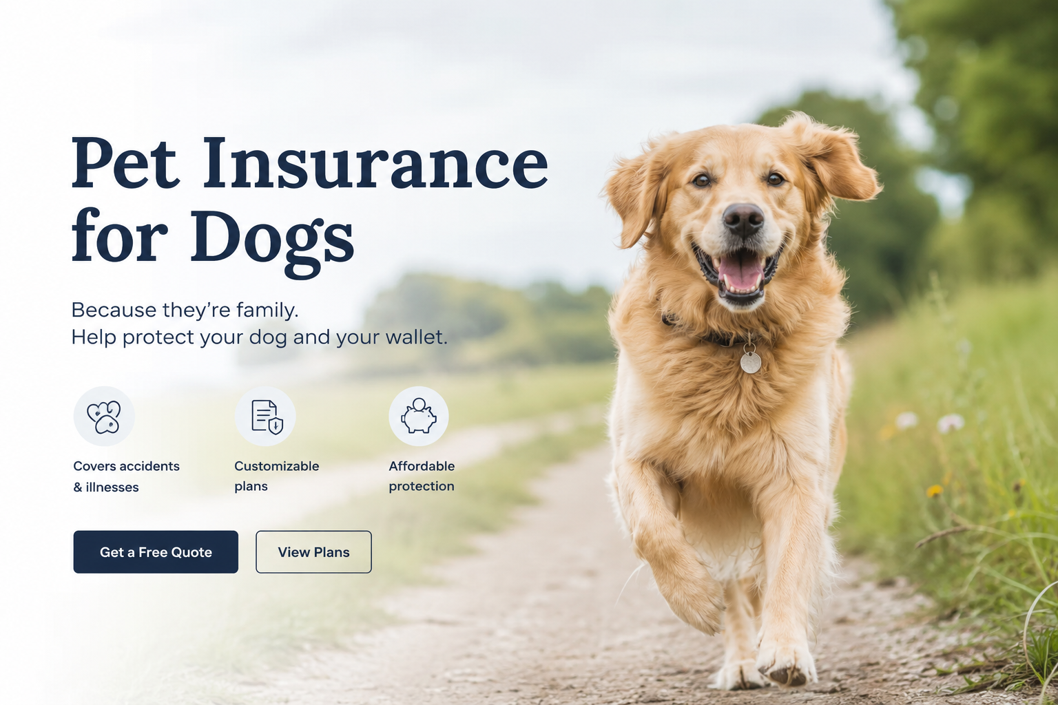 Pet insurance for dogs with coverage for accidents, illnesses, surgery, emergency veterinary care, and online dog insurance quotes