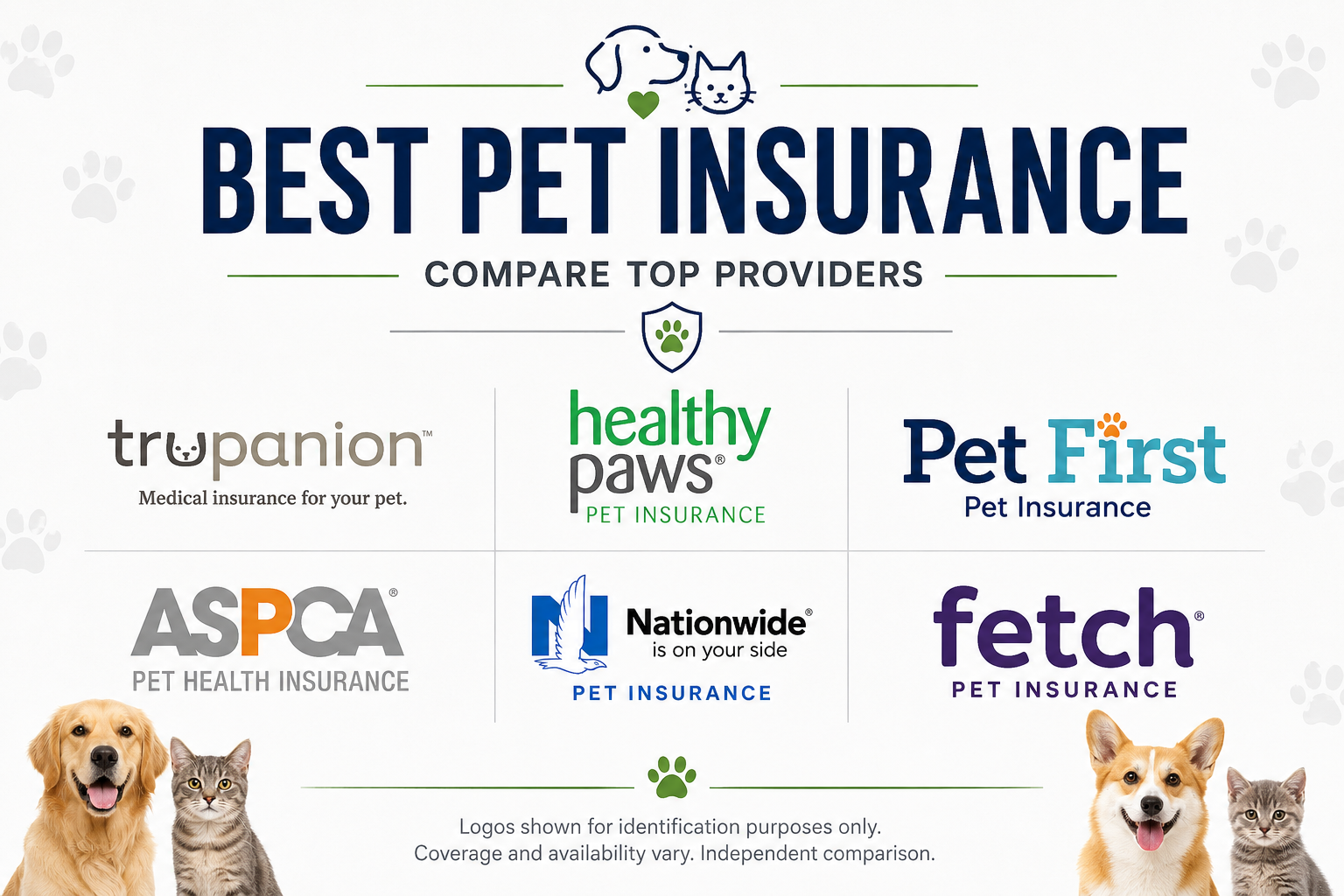 Best pet insurance in 2026 for dogs and cats with accident, illness, dental, and wellness coverage options